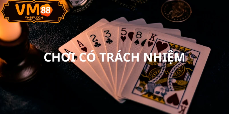 Miễn Trừ Trách Nhiệm Tại VM88 - Quy Định Cần Biết Trách nhiệm người dùng tại VM88